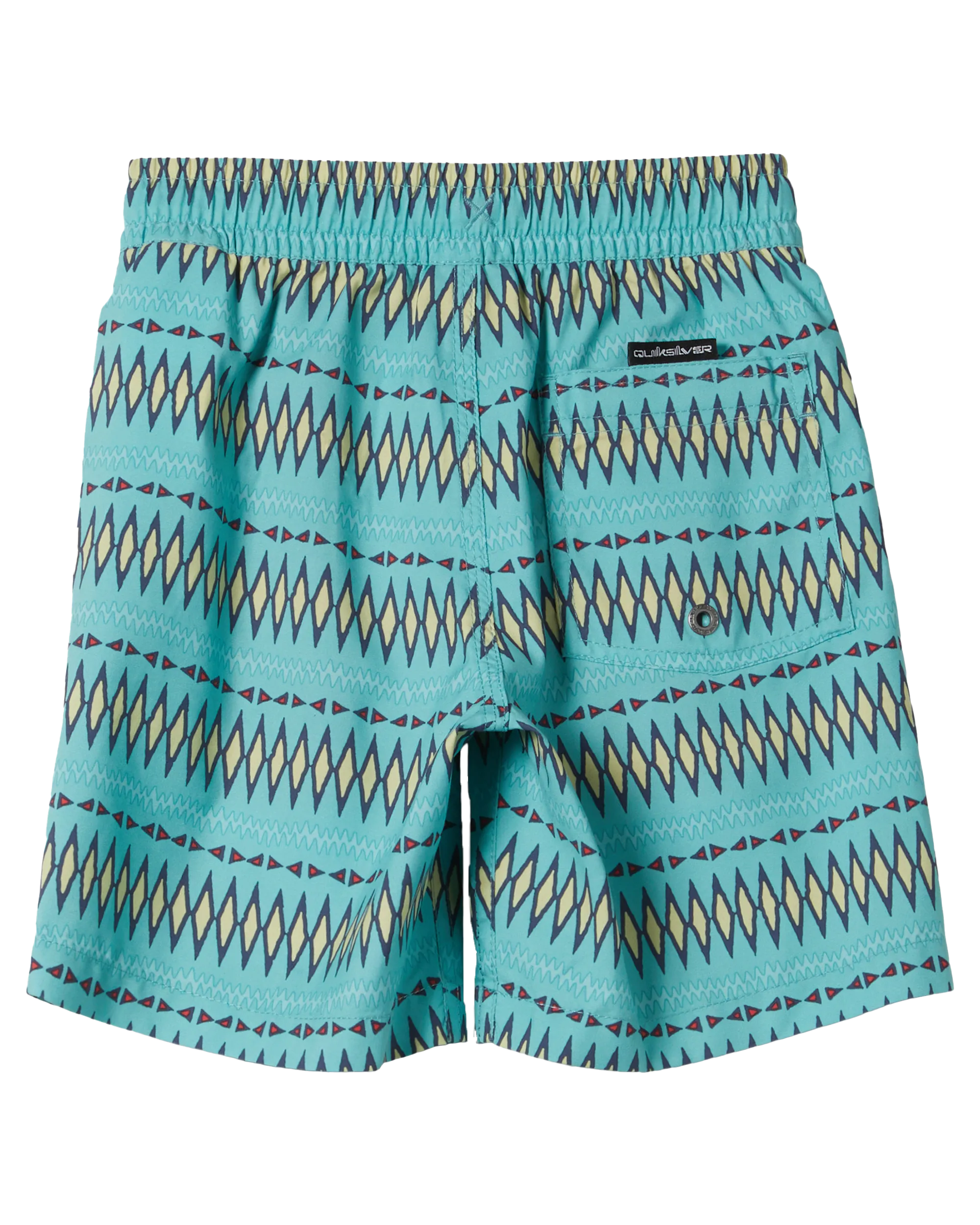 Boys Everyday Heritage Volley Shorts in Marine Blue